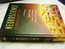 Neuroscience Exploring the