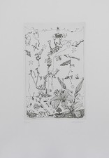 MUSANTE FRANCESCO  ACQUAFORTE