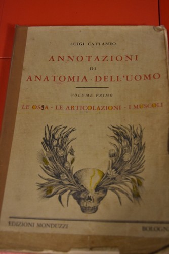 Annotazioni anatomia - annotazioni,