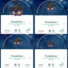 Pokemon Shiny Pumpkaboo Wearing a Spooky Festival GO - TRA'DE - Leggi Descrizione