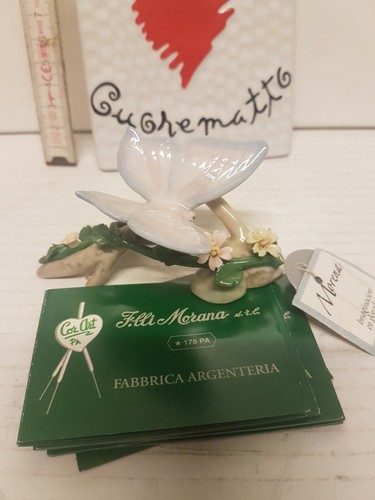 Farfalla porcellana morena - farfalla,