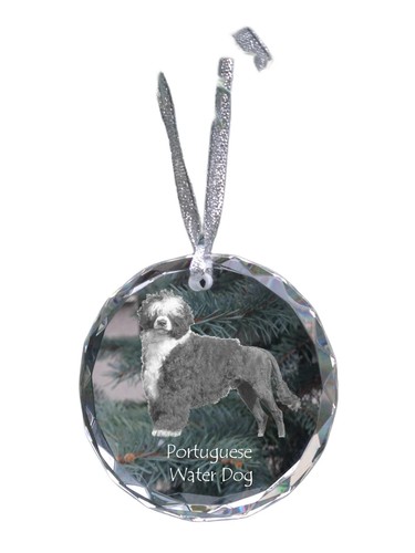 Portugiesischer wasserhund - portugiesischer,