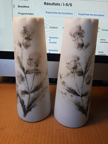 Paire vase opaline h - vase,