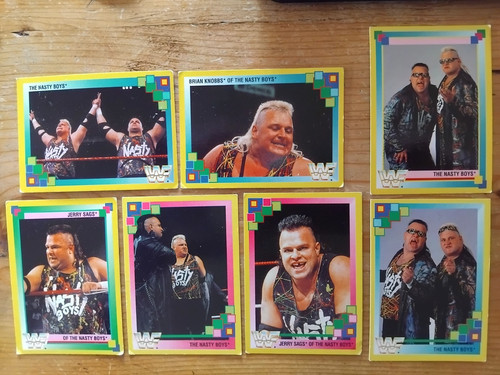 Vintage wrestling 1993 the - vintage,