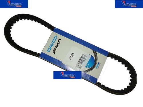 Cinghia trasmissione dayco - cinghia,