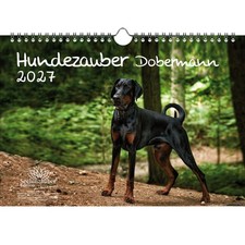 Magia per cani Dobermann DIN