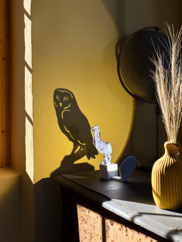Lampada ombra gufo - lampada, led