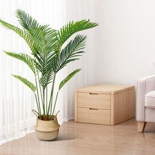 Piante Artificiali Come Vera