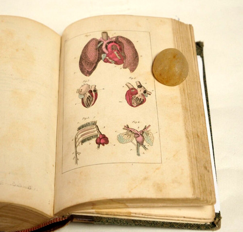 Ma068 delafosse compendio - ma068_delafosse,