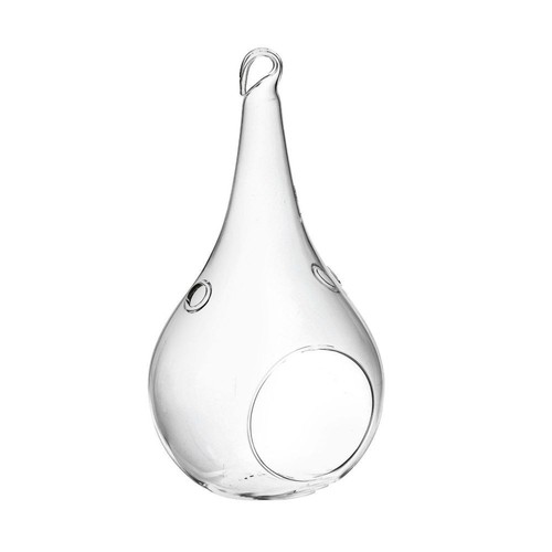 Terrario bottle garden goccia - bottle,