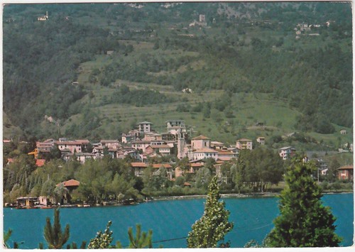 Spinone bergamo visione - bergamo,