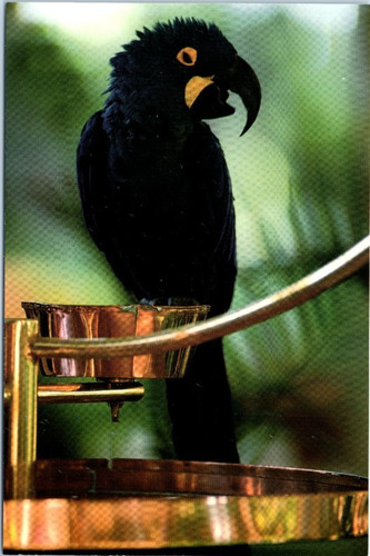 Vintage postcard hyatt regency - vintage,