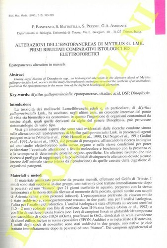 Bonivento battistella s - p.,