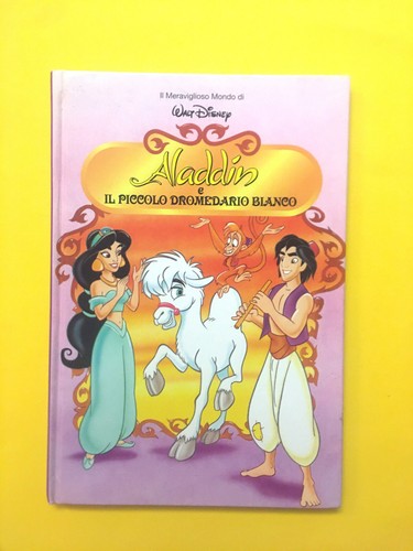 Aladdin piccolo - e, il