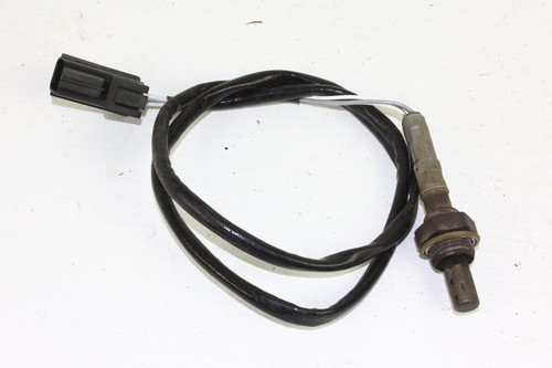 Sensore sonda lambda triumph - lambda,
