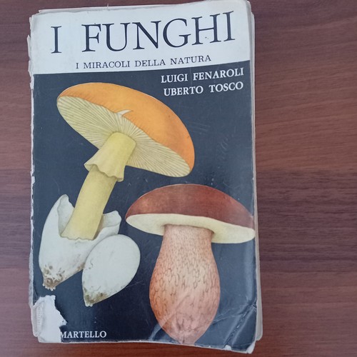 Libro dei funghi - libro,
