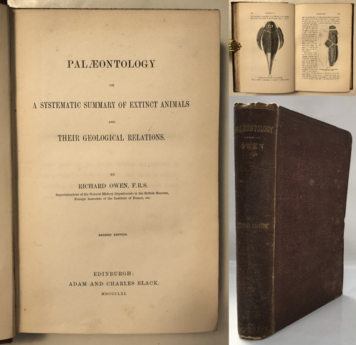 1861 owen palaeontology - 1861,