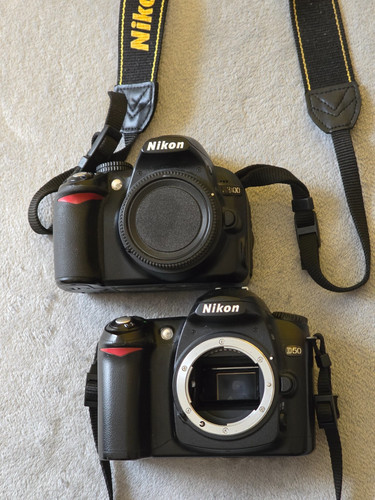 Nikon d3100 d50 - nikon,