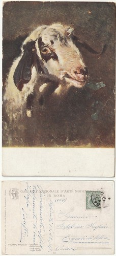 Illustratore artist signed - artist,