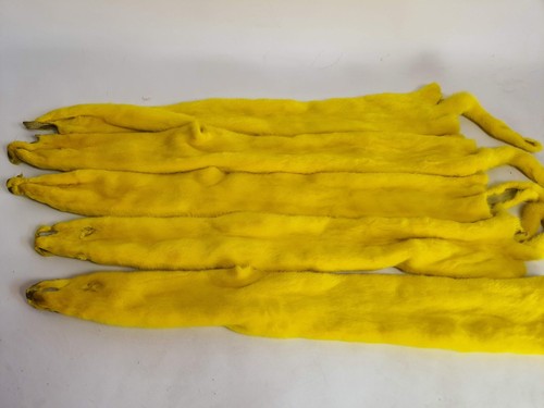Pelliccia visone giallo - pelliccia, di