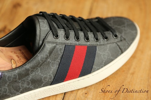 Gucci ace supreme - gucci,
