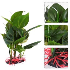  Pianta Finta Terrario Piante
