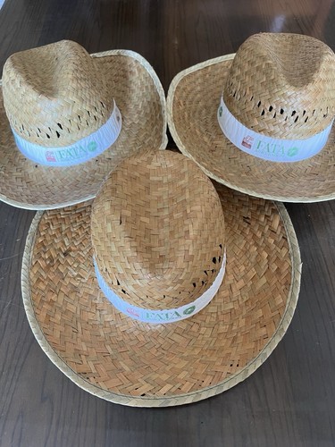 Cappelli paglia 100 - 3,