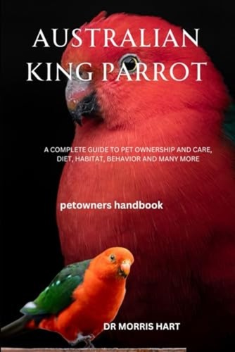 Australian king parrot - australian,