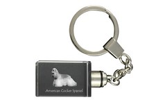 Americano Cocker Spaniel