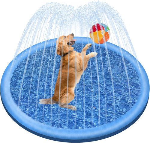 Piscina per cani - cani,, 100