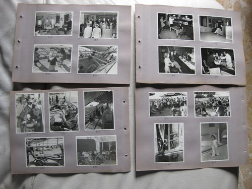 Rare foto esperia - esperia, di