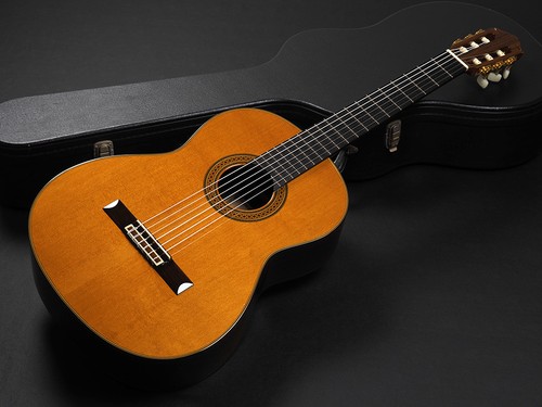 Yamaha 21c chitarra - yamaha, gc