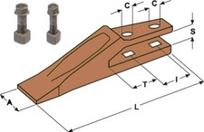 Dente forcella - dente,