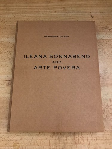 Ileana sonnabend and arte - sonnabend,