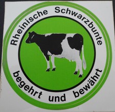 Adesivo Pubblicità Renano Ardesia Schwarzbunte Mucca Bovino Nutzvieh Agricoltore