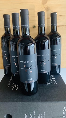 Vino merlot igt 6bott terre - igt, az