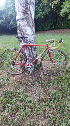 Colnago sport vintage - sport,