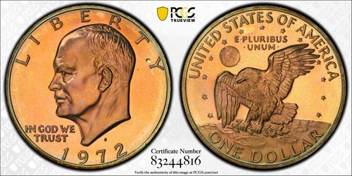 Splendido dollaro eisenhower - splendido,