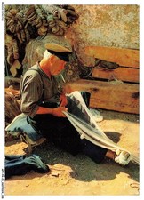 APVP4-0278-29 - Colori E Luce