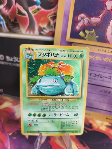 Carta pokemon card - carta, bisaflor
