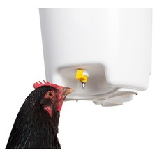 Abbeveratoio goccia 3 - goccia, a