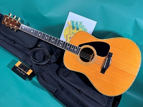 Chitarra elettrica acustica