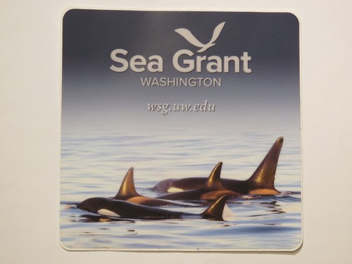 Adesivo mare grant noaa - ~,