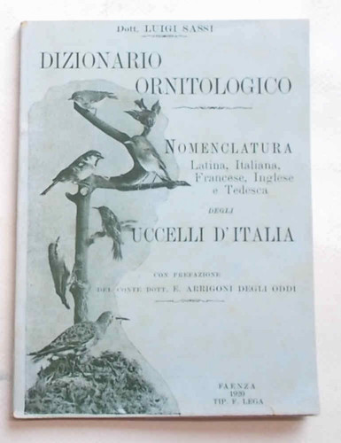 Sassi dizionario - sassi,