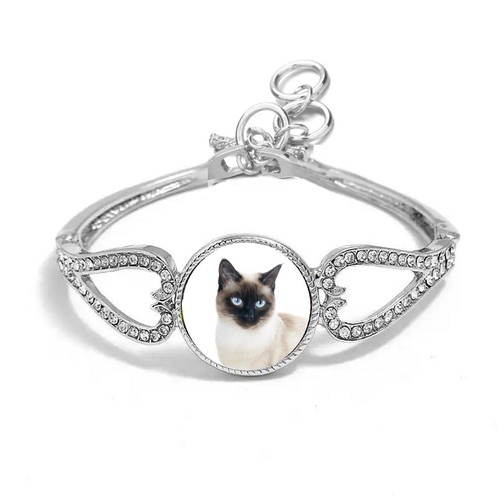Siamese cat pet - pet, colour