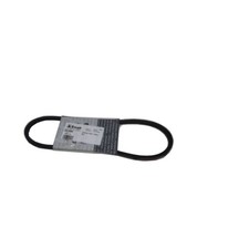 Cinghia rinvio-trincia per