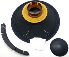 LASE Ricambio RCF L18P300, EAW