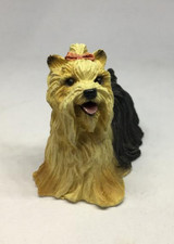 CUTE LITTLE YORKSHIRE TERRIER