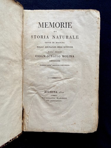 Juan ignacio molina - ignacio, memorie