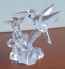 Colibrì su fiori crystal
